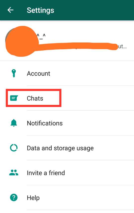 Whatsapp chat Option